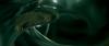Champion_D_720_0174.jpg