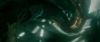 Champion_D_720_0177.jpg