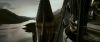 Champion_D_720_0247.jpg