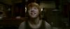 Champion_D_720_0313.jpg