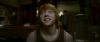 Champion_D_720_0316.jpg