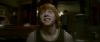 Champion_D_720_0317.jpg
