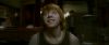 Champion_D_720_0320.jpg