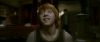 Champion_D_720_0322.jpg