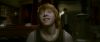 Champion_D_720_0324.jpg