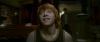 Champion_D_720_0325.jpg