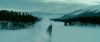 Champion_D_720_0423.jpg