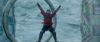 Champion_D_720_0810.jpg