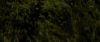 Champion_D_720_0875.jpg