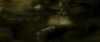 Champion_D_720_0880.jpg