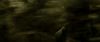 Champion_D_720_0881.jpg