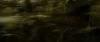 Champion_D_720_0882.jpg