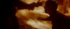 Champion_D_720_0942.jpg