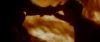 Champion_D_720_0943.jpg