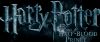 Champion_D_720_1027.jpg