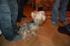 DSC_0175.JPG