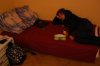 DSC_0181.JPG