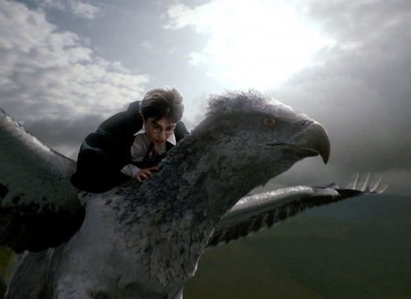 Kliknite pre zobrazenie veľkého obrázka