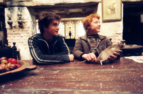 Kliknite pre zobrazenie veľkého obrázka