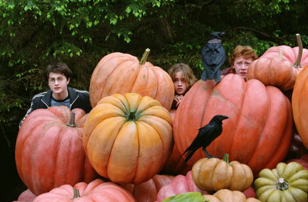 Kliknite pre zobrazenie veľkého obrázka