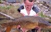 carp-tom-felton.jpg