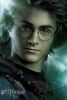 harry222.jpg