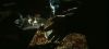 poa_trailer_2_0119.jpg