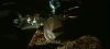 poa_trailer_2_0122.jpg
