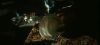 poa_trailer_2_0123.jpg