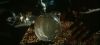 poa_trailer_2_0135.jpg