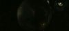 poa_trailer_2_0162.jpg