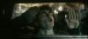 poa_trailer_2_0341.jpg