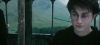 poa_trailer_2_0681.jpg