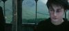poa_trailer_2_0682.jpg