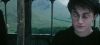 poa_trailer_2_0684.jpg