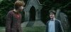 poa_trailer_2_0795.jpg