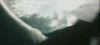 poa_trailer_2_0811.jpg