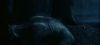 poa_trailer_2_0930.jpg
