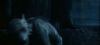 poa_trailer_2_0933.jpg