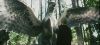 poa_trailer_2_0945.jpg