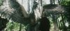poa_trailer_2_0946.jpg