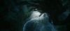poa_trailer_2_0985.jpg