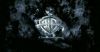 poa_trailer_3_224.jpg