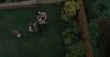 poa_trailer_3_648.jpg
