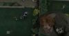 poa_trailer_3_653.jpg