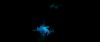 gof_int_teaser_011.jpg
