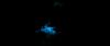 gof_int_teaser_013.jpg