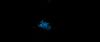 gof_int_teaser_015.jpg