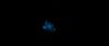 gof_int_teaser_016.jpg