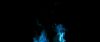 gof_int_teaser_028.jpg